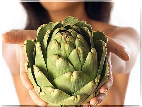 Artichoke to lose weight fast