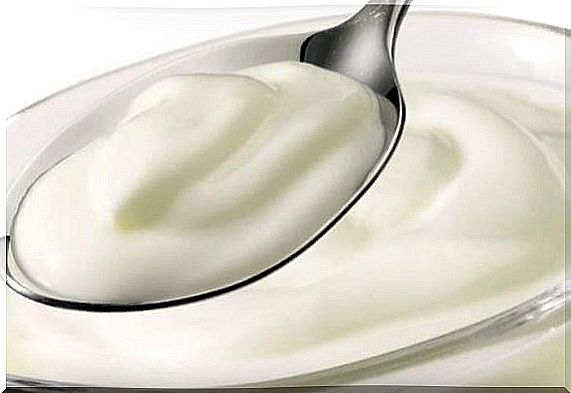 Yogurt