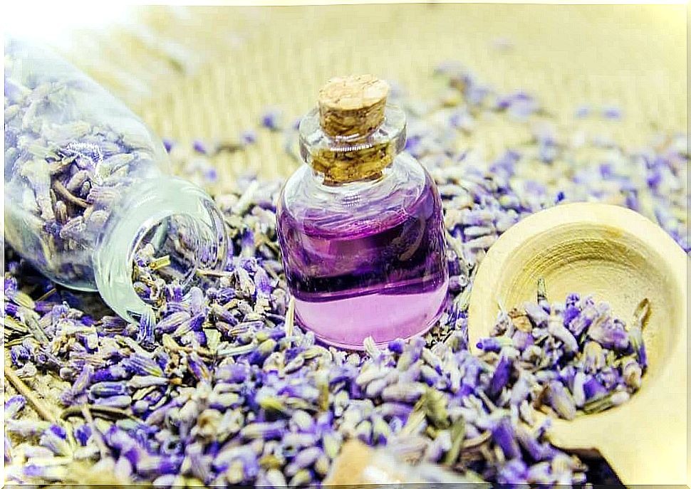 Lavender oil to naturally flavor the house