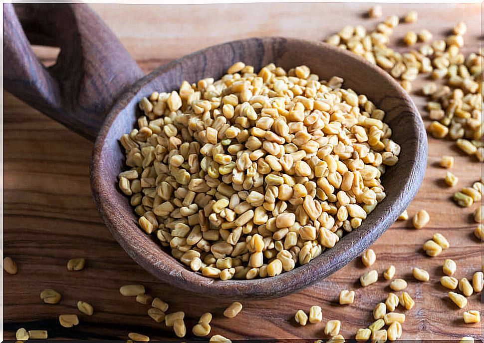 Fenugreek Seeds