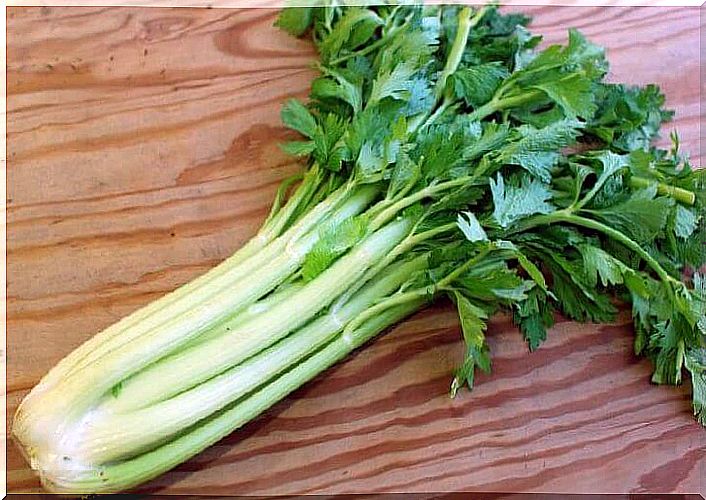 Celery is a food that can cause allergies