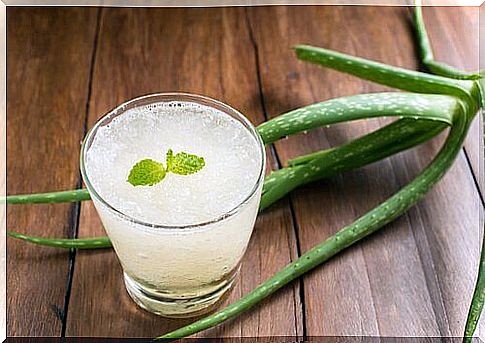 Aloe Vera Remedy to Increase Platelets Naturally