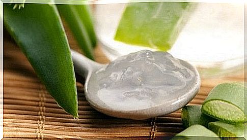 Aloe Vera Gel to Increase Platelets Naturally