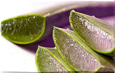 Aloe vera against abused hair