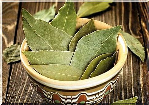 Bay leaves to prepare bay oil