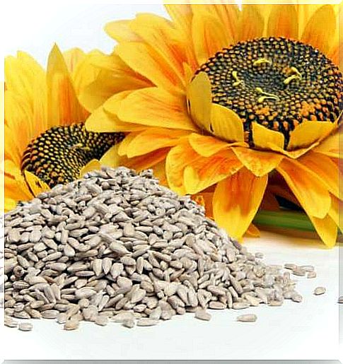 Sunflower seeds against cellulite