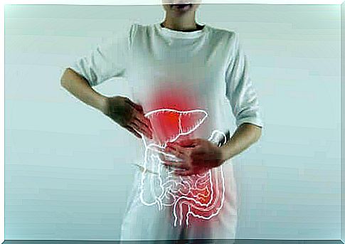 Digestive enzymes: what is their function?