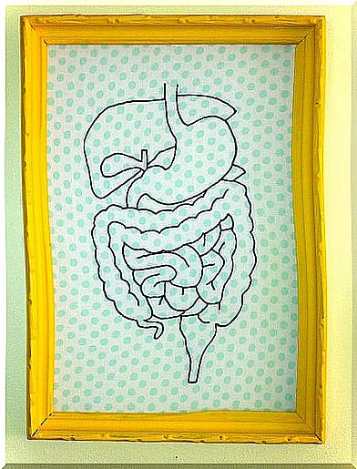 Illustration of the intestines to treat diverticulitis.