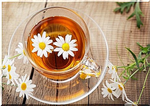 cup of herbal tea with chamomile flowers