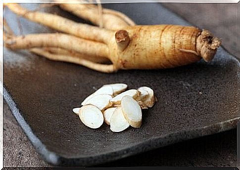 Ginseng: discover what it is, how it is taken and what it is for