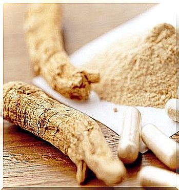 Ginseng root powder and pills