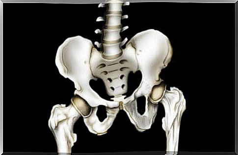 image of a hip