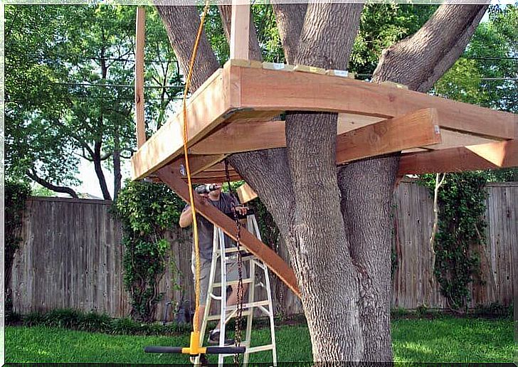 Build a tree house for kids