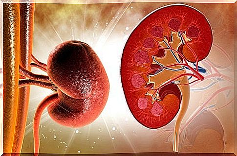 How to clean the kidneys with natural remedies?