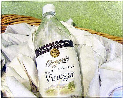 Vinegar to remove mold stains