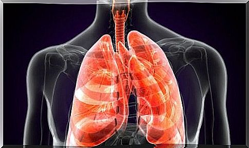 Pulmonary plague: know its causes and symptoms