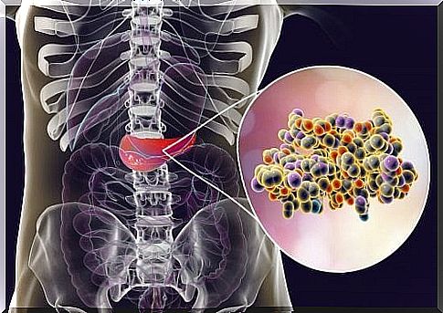 Insulin in the pancreas