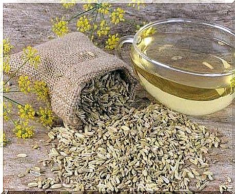 Fennel to relieve conjunctivitis naturally